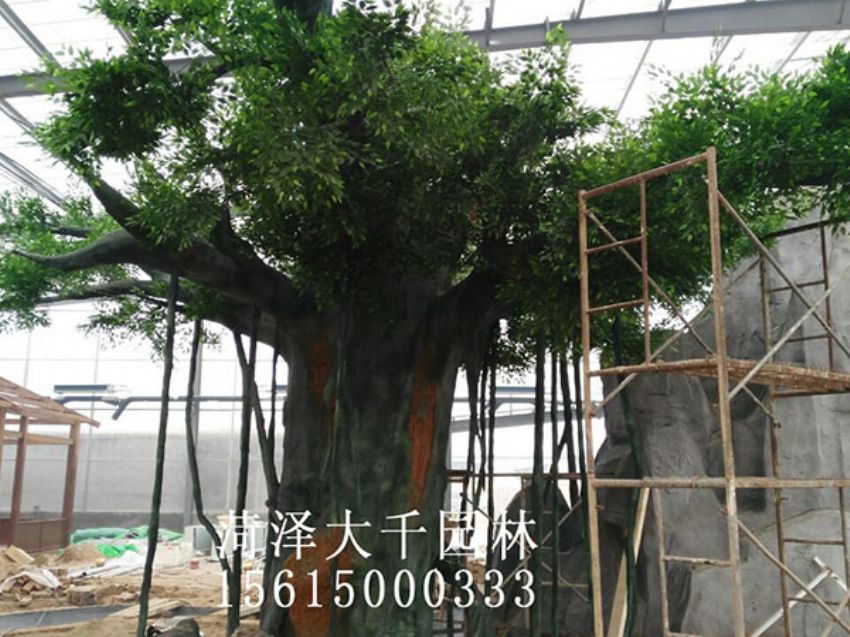 點(diǎn)擊查看詳細(xì)信息<br>標(biāo)題：假樹(shù) 閱讀次數(shù)：1517