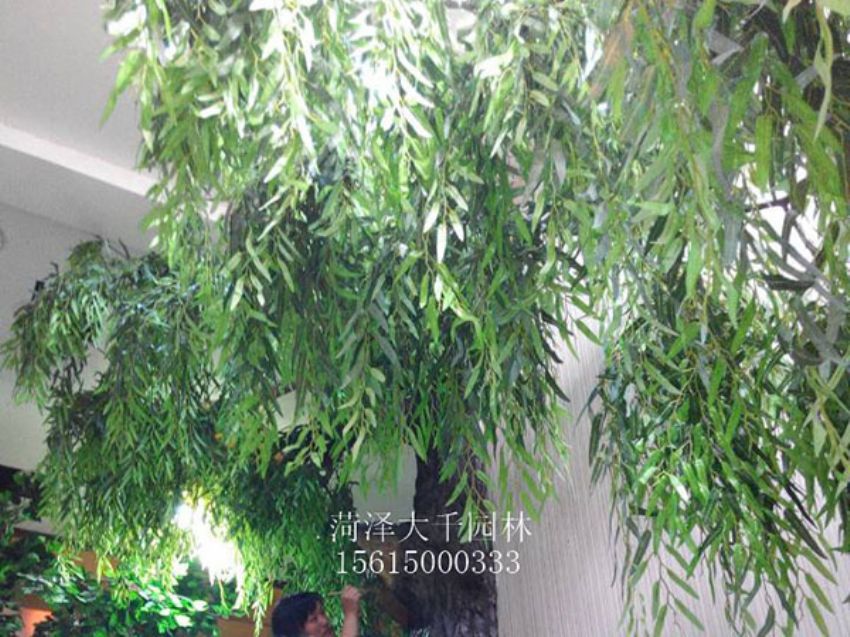 點擊查看詳細信息<br>標題：假樹 閱讀次數：1443