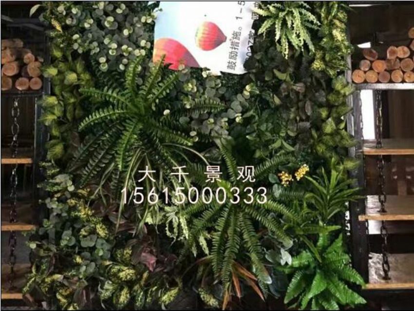 點擊查看詳細信息<br>標題：綠植墻 閱讀次數：1486