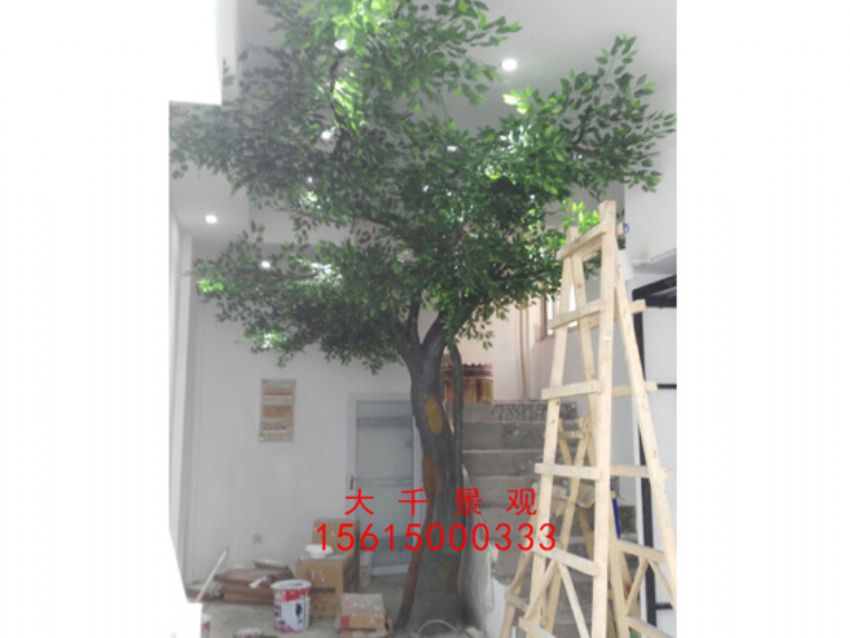 點擊查看詳細信息<br>標題：瓷磚磁瓦 閱讀次數：2429