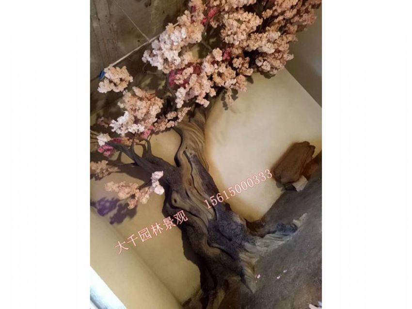 點(diǎn)擊查看詳細(xì)信息<br>標(biāo)題：假樹(shù) 閱讀次數(shù)：2570